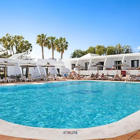Thb Flora Puerto del Carmen (Lanzarote)