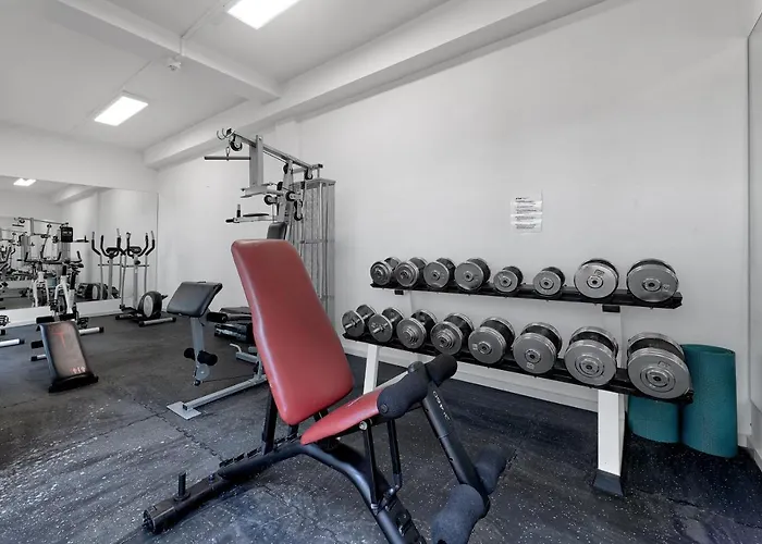 Отель Thb Flora 3*